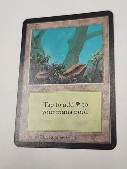 Forest (A) Alpha MP MTG Magic - Image 2