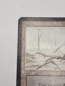 Swamp (A) Alpha HP MTG Magic (Warped) - Image 3