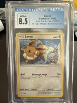 2019 Pokemon Black Star Promo Eevee Special Collection Holo #SM235 - Image 1