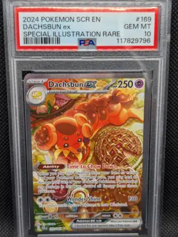 2024 Pokemon Stellar Crown Dachsbun Ex Special Illustration Rare #169/142 PSA 10 - Image 1