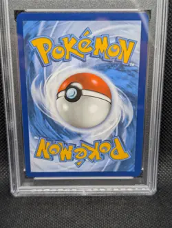 2024 Pokemon Stellar Crown Dachsbun Ex Special Illustration Rare #169/142 PSA 10 - Image 2