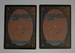 2x Winternight Stories Borderless MTG Tarkir Dragonstorm Magic the Gathering - Image 2