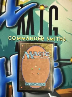 Gray Merchant of Asphodel ✨ Borderless 🌈 FOIL ✨ MTG NM Encyclopedia Secret Lair - Image 2