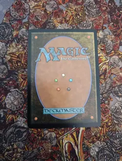 Helga, Skittish Seer (Showcase) - MTG - Bloomburrow Regular - NM - Image 2