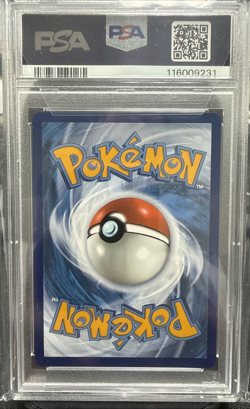 2024 Pokemon Squirtle 148/142 Sv07: Stellar Crown Illustration Rare Holo PSA 10 - Image 2