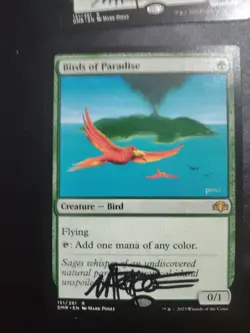 Mtg 1x Birds Of Paradise Bop Dominaria Signed By Artist Mark Poole - Image 2