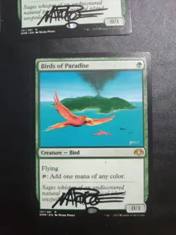 Mtg 1x Birds Of Paradise Bop Dominaria Signed By Artist Mark Poole - Image 3