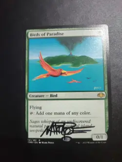 Mtg 1x Birds Of Paradise Bop Dominaria Signed By Artist Mark Poole - Image 4