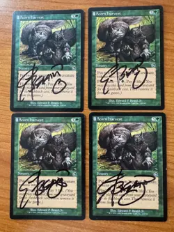 Magic MTG Acorn Harvest x4 Torment Signed Artist Edward Beard Jr.! MP - Image 1