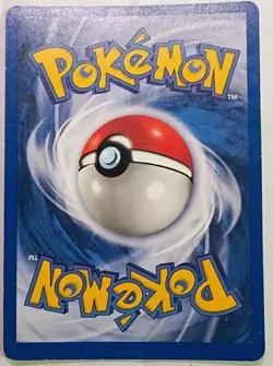 Japanese Pokemon Shuckle No 213 Holo Sticker on a Pokemon Card Mystery - Image 2