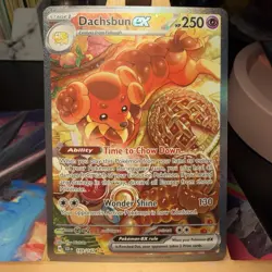 Dachsbun ex 169/142 Stellar Crown Special Illustration Rare Pokemon TCG NM - Image 1