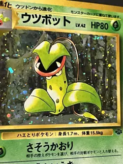 Pokemon Japanese Jungle Holo Pinsir Victreebel Pidgeot Wigglytuff Lot Of 4 - Image 5