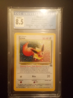 Eevee Pokemon (2000) Black Star Promo 11 Holo Pokemon league CGC 8.5 NM/MINT+ - Image 1