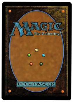 Beloved Princess 0804 Rainbow Foil English Borderless Secret Lair MTG Near Mint - Image 2