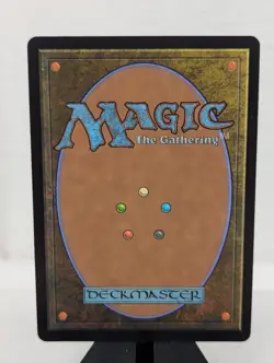 Adarkar Wastes - Borderless - 377 - NM - Dominaria United - Regular - Image 2