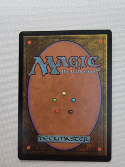 Hermit Druid Stronghold Regular - Image 2