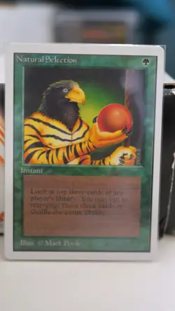 Natural Selection - Unlimited (2ED) 1993 - MTG Magic the Gathering - Rare - Image 1