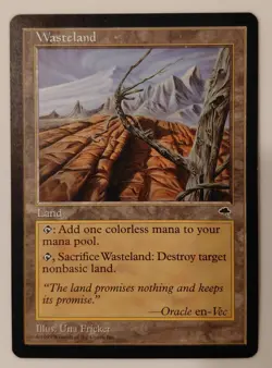 Wasteland Tempest MTG Near Mint Condition - Image 1