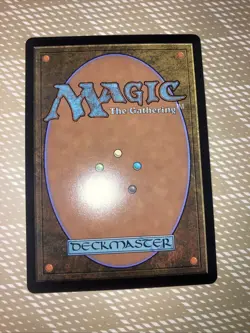 Rain-Slicked Copse (Extended Art) Commander: Lorwyn Eclipsed Regular - Image 2