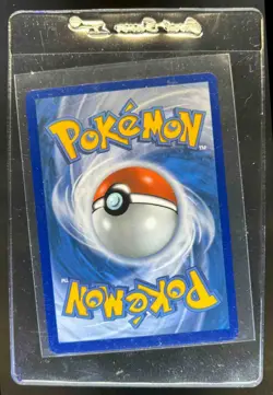2025 Pokemon Black Star Promos Mega Venusaur ex #013 - Image 2