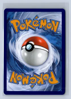 2023 Pokemon Sword Shield Black Star Promo Lucario VSTAR #SWSH291 - Image 2