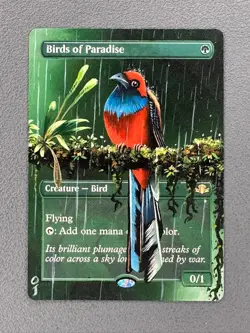 Birds of Paradise MTG Dominaria Remastered Hand Painted Extended Altered Art oj - Image 1