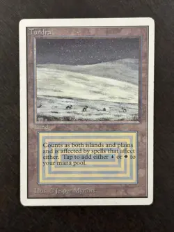 Tundra - MP/LP - Magic the Gathering Unlimited Edition - Image 1