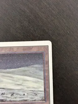 Tundra - MP/LP - Magic the Gathering Unlimited Edition - Image 4