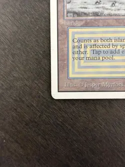 Tundra - MP/LP - Magic the Gathering Unlimited Edition - Image 5