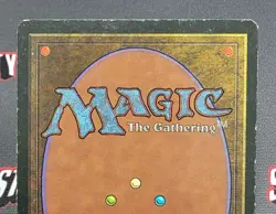 MTG Merchant Scroll - Homelands Magic the Gathering Card # 33 - Image 5