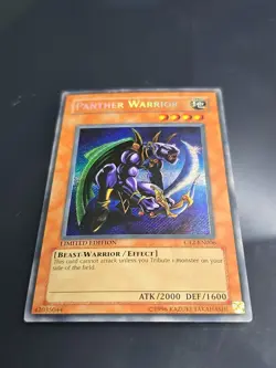 Panther Warrior CT2-EN006 2005 Collectors Tin Limited Edition - Image 2