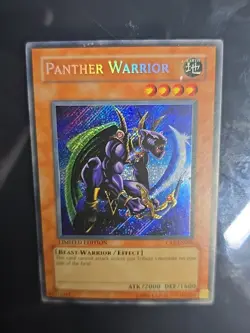 Panther Warrior CT2-EN006 2005 Collectors Tin Limited Edition - Image 3