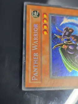 Panther Warrior CT2-EN006 2005 Collectors Tin Limited Edition - Image 4