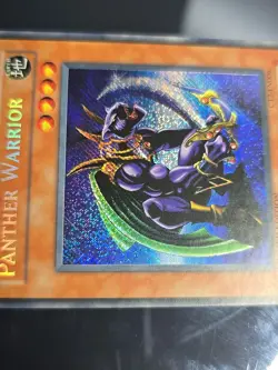 Panther Warrior CT2-EN006 2005 Collectors Tin Limited Edition - Image 5