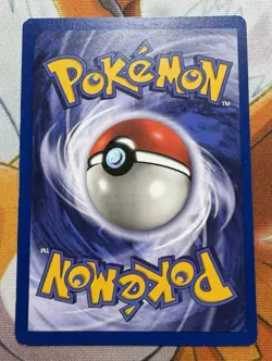 Pidgeot 24/64 Jungle 1st Edition Non-Holo Vintage WOTC Pokemon Card - See Photos - Image 2