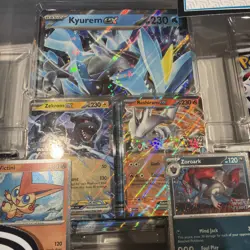 Pokemon TCG: Unova Heavy Hitters Premium Collection Costco 2-Pack Factory Sealed - Image 3