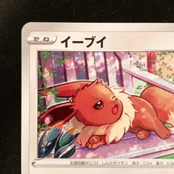 Eevee 181/S-P GYM PROMO Pokemon Card Japanese Near Mint #13145 - Image 3