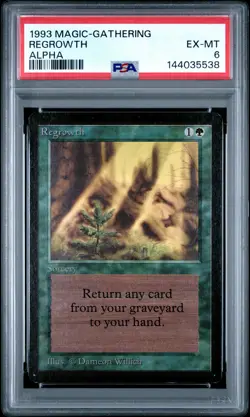 1993 MAGIC: THE GATHERING ALPHA REGROWTH PSA 6 - Image 1