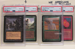 Magic the Gathering Alpha - Singles (NM/M-NM-LP) Updated 12/9/25 - Image 1