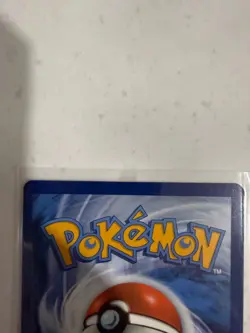 Galarian Moltres SWSH284 SWSH: Sword & Shield Promo Cards Holo - Image 5