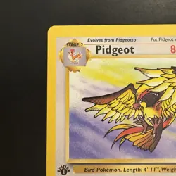Pokemon Vintage 1st Edition Non-holo Rare Pidgeot Jungle 24/64 WotC 1999 - Image 2