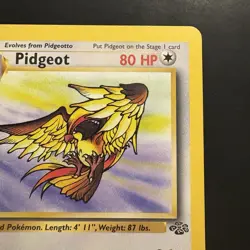 Pokemon Vintage 1st Edition Non-holo Rare Pidgeot Jungle 24/64 WotC 1999 - Image 3