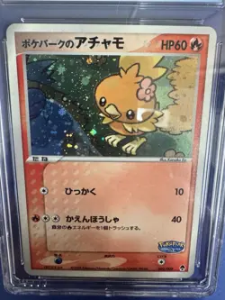 POKEPARK'S TORCHIC 2005 POKEMON JAPANESE FOREST HOLO 002/009 PSA 8 Q3423 - Image 3