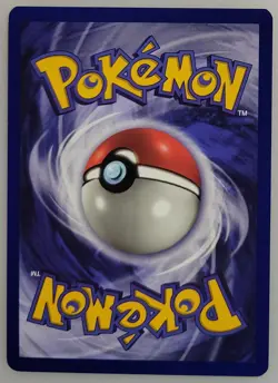 Pikachu 01/53 Pokemon Wotc Promo Regular NM - Image 2