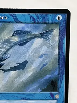 Mystic Remora - Ice Age ~LP/MP~ Magic The Gathering MTG - Image 4
