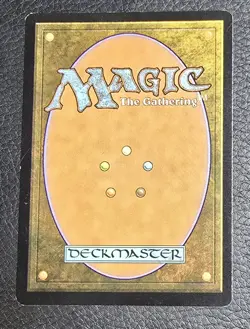 Windswept Heath Zendikar Rising Expeditions Regular LP MTG Magic Card - Image 2