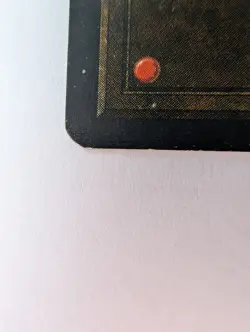 Savannah - Magic the Gathering - Revised Edition - Image 4