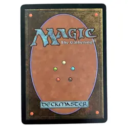 Forest 330 - 7th Edition - Magic The Gathering MTG - Land - Lightly Played - Image 3