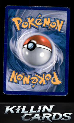 Landorus - BW43 BW43 Pokemon Promo Black and White Promos Card DM - Image 2