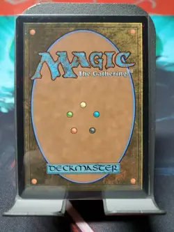 Wan Shi Tong, Librarian (Borderless) #320 (NM) TLA Magic MTG Mythic Borderless - Image 2